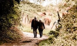 梦见自己去看望母亲