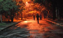 梦见母亲被人杀害