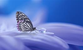 梦见很多苍蝇是什么意思