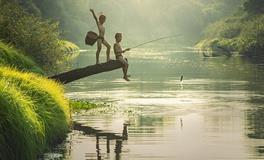 梦见鱼的梦境预兆是什么