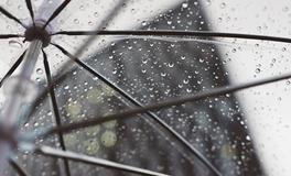 梦见游泳池突然大洪水