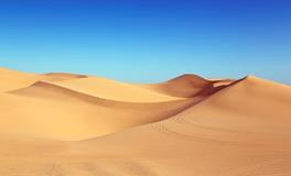 梦见自己去了沙漠