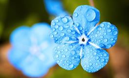 梦见被雨淋湿是什么意思