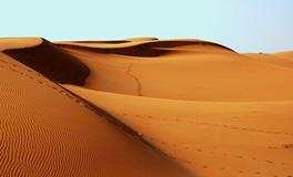 梦见沙土不断下陷