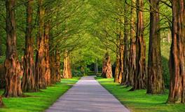 梦见在游乐园里坐旋转秋千