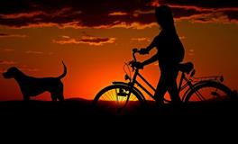 梦见买自行车是什么意思