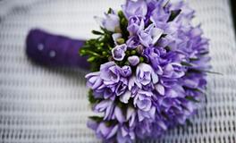 梦见自己种的花草干枯