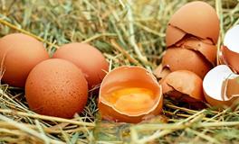 梦见成堆的鸡蛋