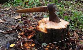 梦见陌生人被砍头