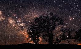 姝畅居士2019年7月十二生肖运势