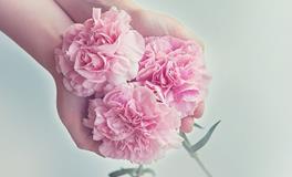 办公室养花风水