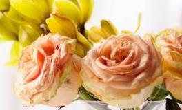 波顿2019年8月十二星座财富运势