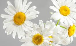 洁安一周生命灵数运势（8.12-8.18）