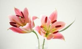 8月底十二星座转运机会点！切勿错过