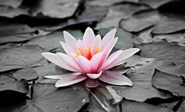 梦见迷路碰到亲人