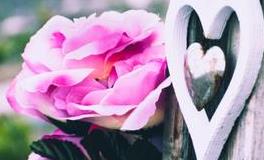 生命灵数，单身时你会缺爱吗？