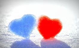 郑博士2019年10月12日生肖运势