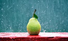 梦见梨但没摘好不好