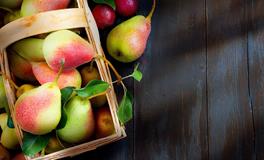 怀孕梦见地上捡梨是什么意思