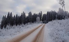 女人梦见甘蔗有什么含义