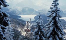 2019年几号开始数九