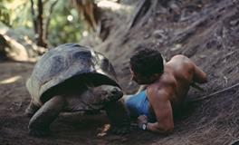 家里养龟单数好还是双数好