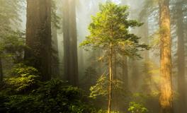 波顿2019年12月十二星座财富运势