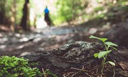 董易林2020年1月21日生肖运势