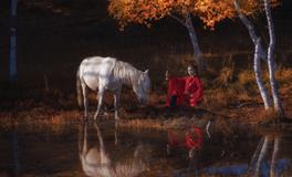 紫微14主星一周运势（1.27-2.2）