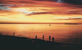 董易林2020年2月9日生肖运势