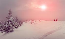 傅子绮2020年2月十二星座运势