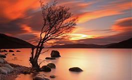 董易林2020年3月24日生肖运势