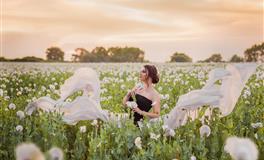 郑博士2020年7月22日生肖运势