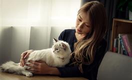 董易林2020年4月3日生肖运势