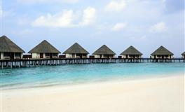 最精明的三个星座，无论如何斗不过他们