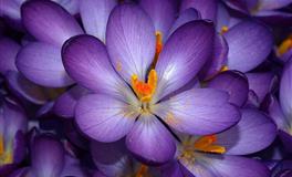 热恋期一过就容易厌倦，态度一百八十度转变的星座