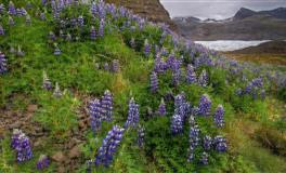 摸透男人心？哪些星座女最懂得诱惑男人？