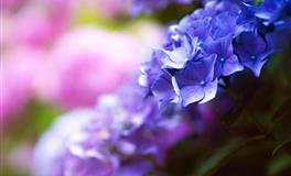 梦见上班时错过公车该留意了！