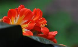 看着高冷，本质狂热最闷骚的星座