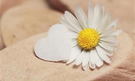 不以物喜，不以己悲，这三大星座都很佛系，能进能退，方寸不乱