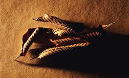 爱情骗子！12星座男最常撒的谎