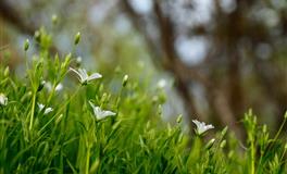 人品好办事有能力，最值得深交的三大星座