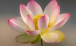 千万不要信12生肖男说的这些话