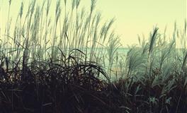 贫穷怕了你！容易暴富的星座，需要具备哪些特质？