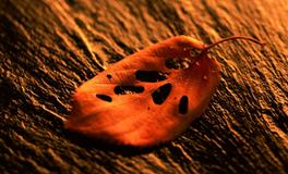 生活中，经常冷场的三个星座，说话总是说一半，让人捉摸不透