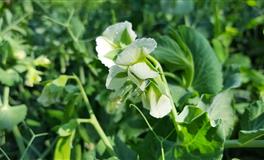 说最狠的话，做最怂的事，“口是心非”的三大星座