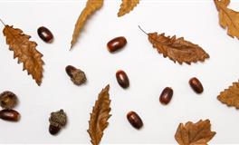 异性缘最好的三大星座，颜值爆表，气质迷人，人品一流