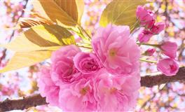 堪称“直男”的4个星座，不懂女人心，一言不合就冷战