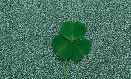 倔脾气，从未服软的星座，谁的原则性强？