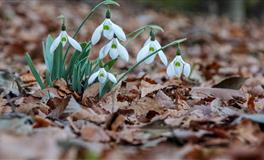 人缘最好的三个星座，遇到困难不用慌，总会有人来帮忙！
